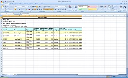 PC Software View Excel